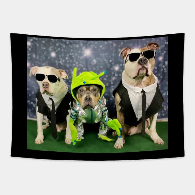 MiB Tapestry by TeamPitCrewDogs