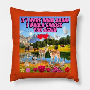 If i was born again Pillow