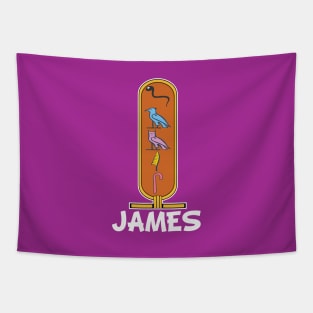 JAMES-American names in hieroglyphic letters-James, name in a Pharaonic Khartouch-Hieroglyphic pharaonic names Tapestry