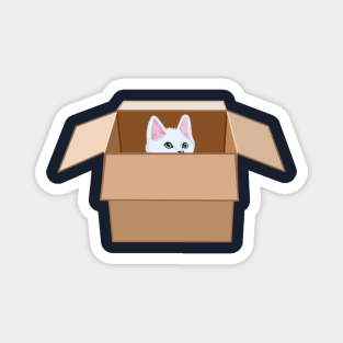 White Kitten Peeking from Cardboard Box Magnet