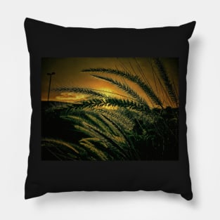 Dawn Pillow