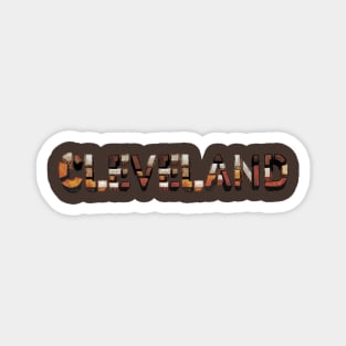 Cleveland Browns Magnet