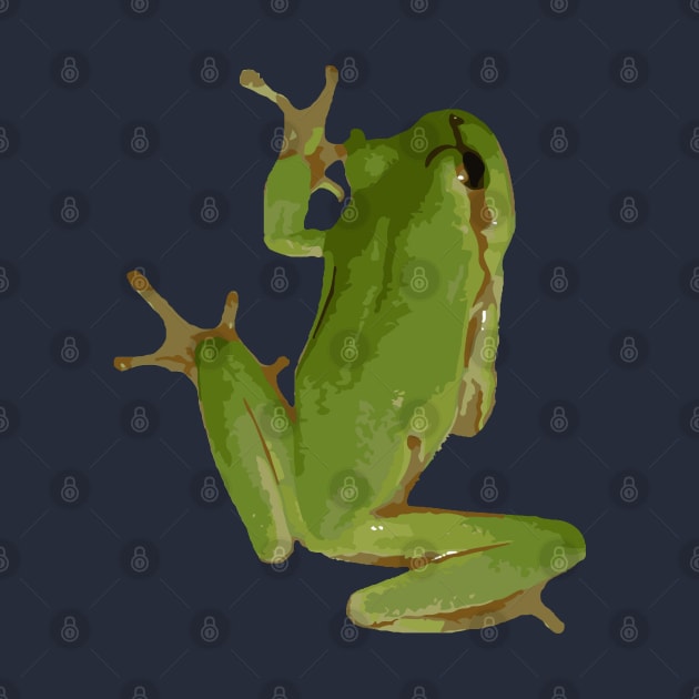 Cute Climbing Green Tree Frog Vector Art by taiche