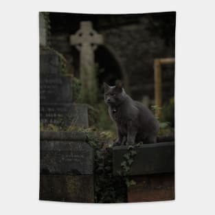 Hanwell Cemetery Cat Tapestry