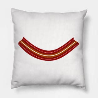 FUNNY Bacon Strip Pillow