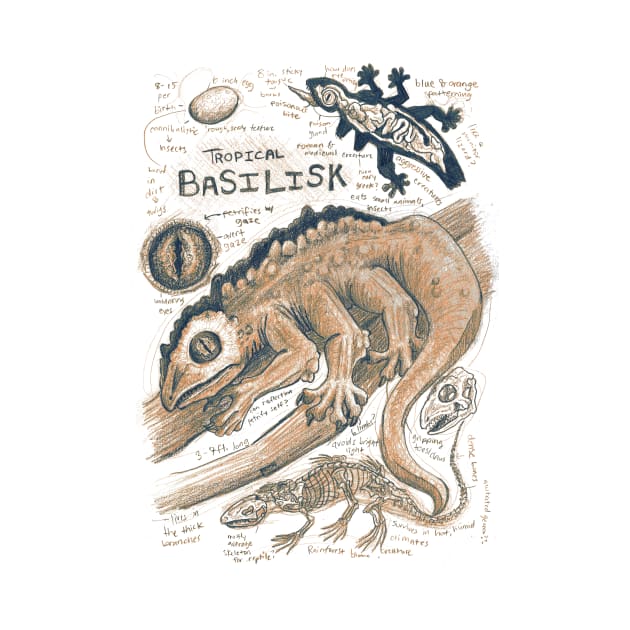 Tropical Basilisk Anatomy Study by Ballyraven