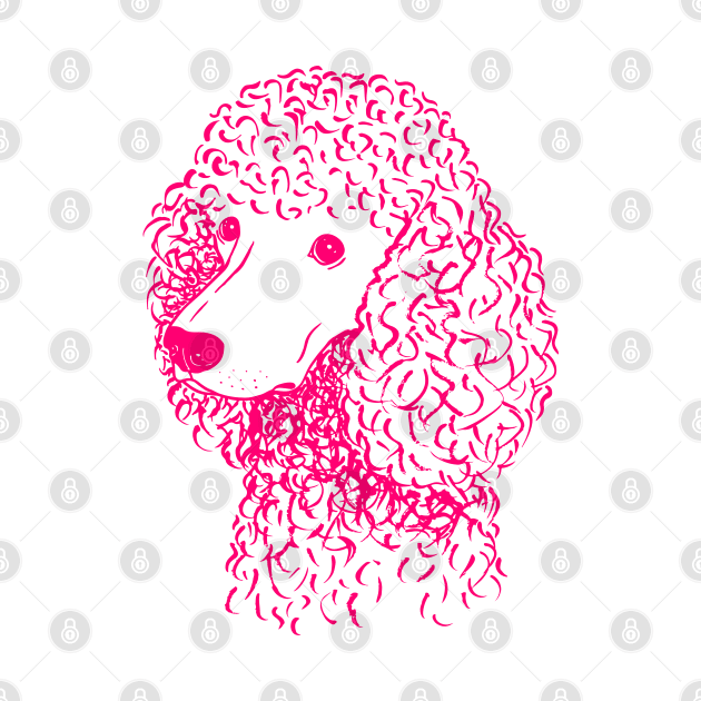 Poodle (Light Blue and Hot Pink) by illucalliart