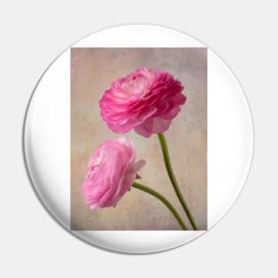 Two Wonderful Pink Textured Ranunculus Pin