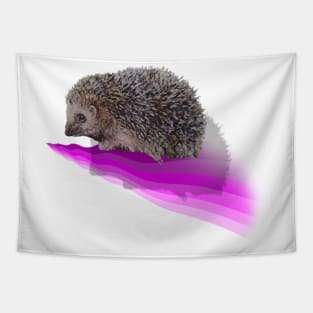 Painting of an English hedgehog on a 3D digital wave Tapestry