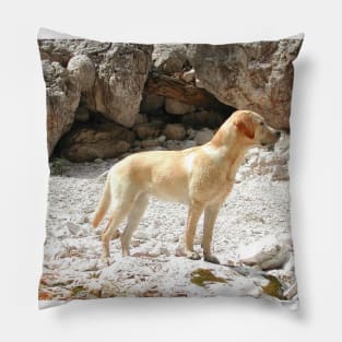 Labrador Retriever Yellow Full Second Pillow