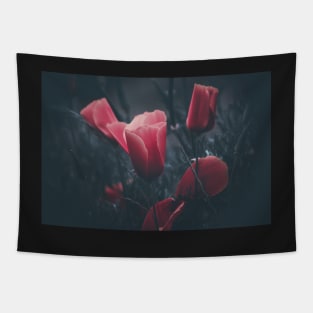 California poppies filtered Tapestry