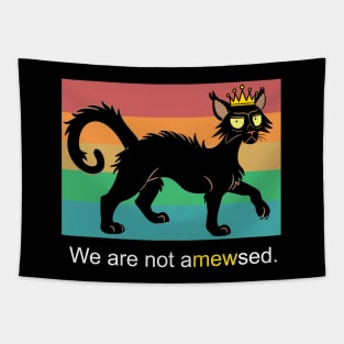 We Are Not Amewsed Black Cat Tapestry