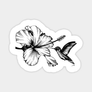 Hummingbird & Hibiscus II Magnet