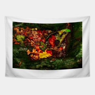 Saturated Autumn Tapestry