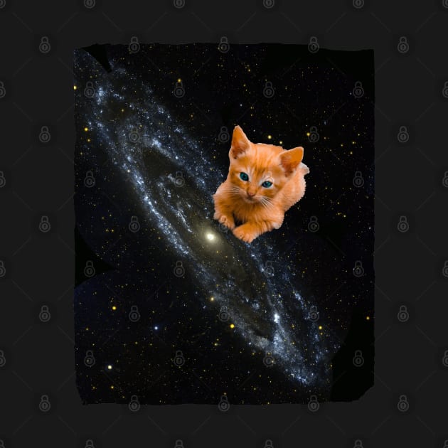 orange Cat on the Milky Way by ro83land