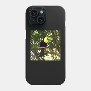 Keel-billed Toucan Phone Case