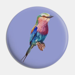 Lilac-Breasted Roller Bird Painting (no background) Pin