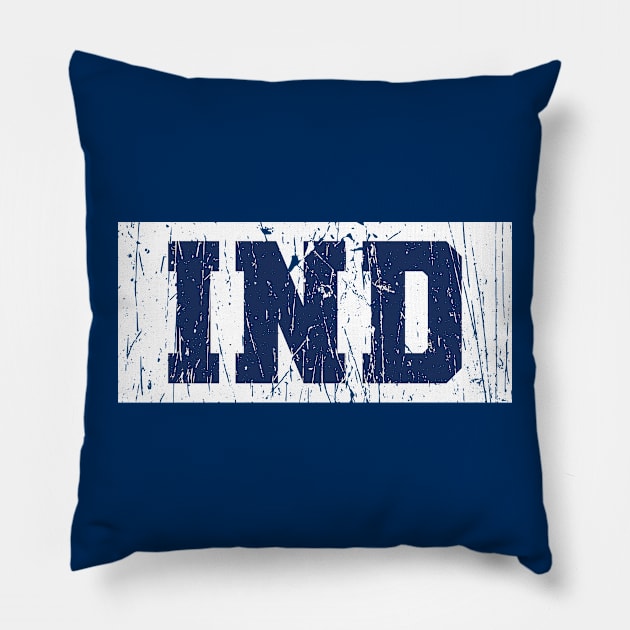 IND / Colts Pillow by Nagorniak