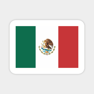 Mexican Mexico Flag Magnet