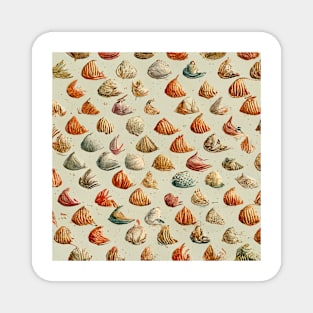 Vintage seashells II Magnet