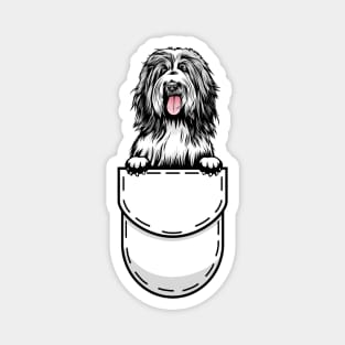 Funny Bearded Collie Pocket Dog Magnet