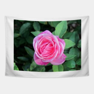 Pink Rose Tapestry