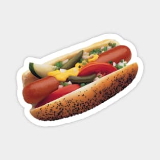 Chicago Style Hot Dog Art Design Magnet