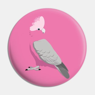 Galah pink cockatoo Pin