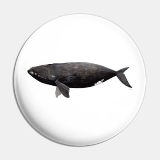 Northern right whale Pin