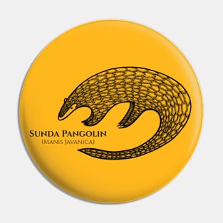 Pangolin with Common and Latin Names - detailed animal drawing Pin