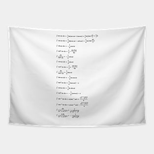 Indefinite Integral Tapestry