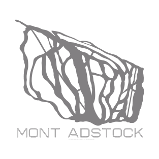 Mont Adstock Resort 3D T-Shirt