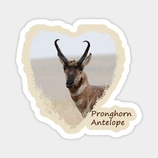 Pronghorn Antelope Magnet