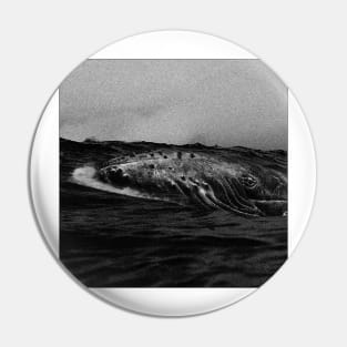 lonely whale b&w Pin