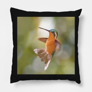 Hummingbird Acrobatics Pillow