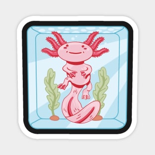 axolotl, axolotl pattern, salamander , salamander shirt, olm, pond newt, lizard , mexican salamander Magnet