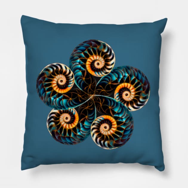 Nautilus shell 5 Pillow by NATLEX