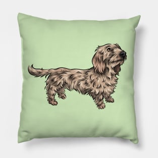 Wirehaired Dachshund Pillow