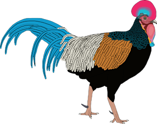 Green Jungle Fowl Digital Drawing Magnet