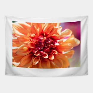 Orange dinnerplate dahlia Tapestry