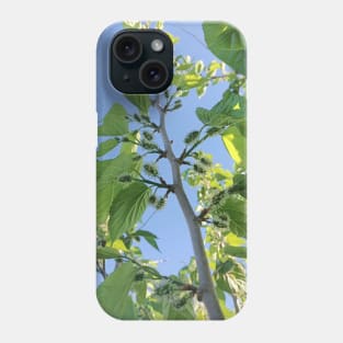 Green Mulberry tree, green leaves, nature plant photography Phone Case