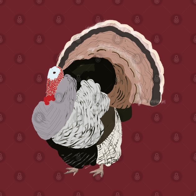 Turkey Illustration by ahadden