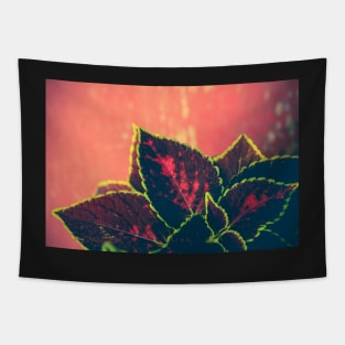 Coleus Leaves on Red Vintage Table Tapestry