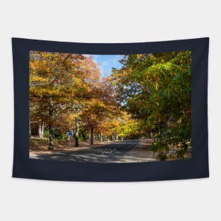 Honour Avenue, Mount Macedon, Victoria, Australia. Tapestry