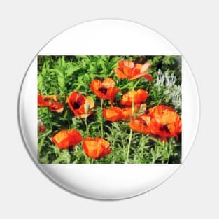 Poppies - Field of Red Poppie Pin