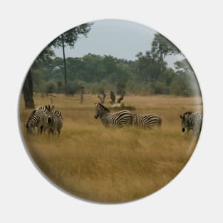 Zebras Gathering Pin