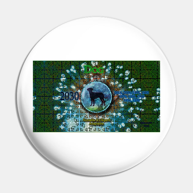 Zo-Disc Dog with background v1 Pin by ajbruner77