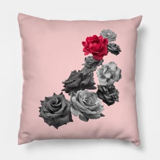 Black and white and a red rose Pillow