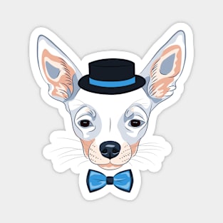 dog Chihuahua breed in hat and bow tie Magnet