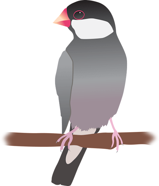 Java sparrow Kids T-Shirt by Bwiselizzy